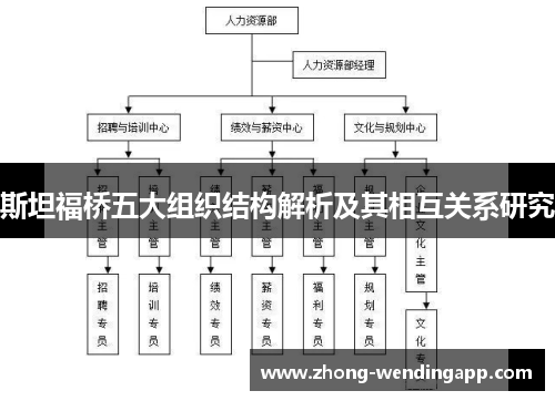 斯坦福桥五大组织结构解析及其相互关系研究 斯坦福桥五大组织结构解析及其相互关系研究