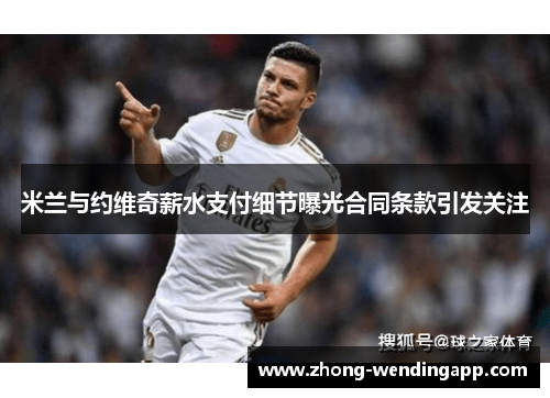 米兰与约维奇薪水支付细节曝光合同条款引发关注