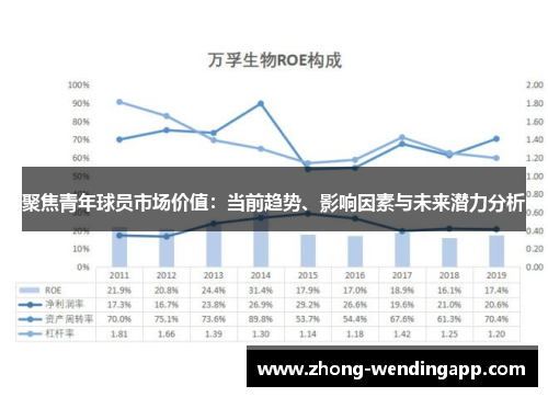 聚焦青年球员市场价值：当前趋势、影响因素与未来潜力分析