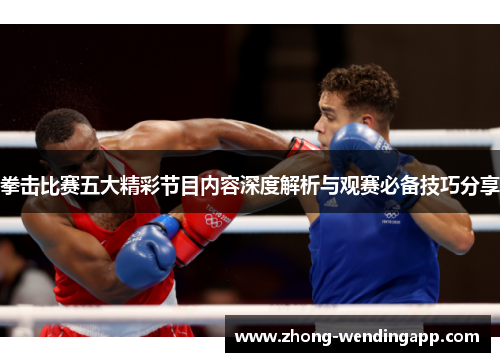 拳击比赛五大精彩节目内容深度解析与观赛必备技巧分享