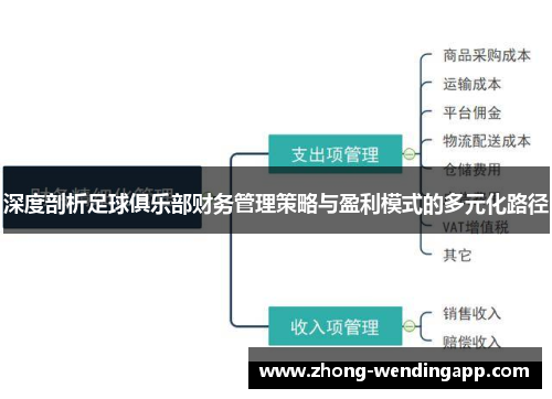 深度剖析足球俱乐部财务管理策略与盈利模式的多元化路径